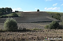 VBS_5365 - La solita strada... il grano da crescere, i campi da arare...